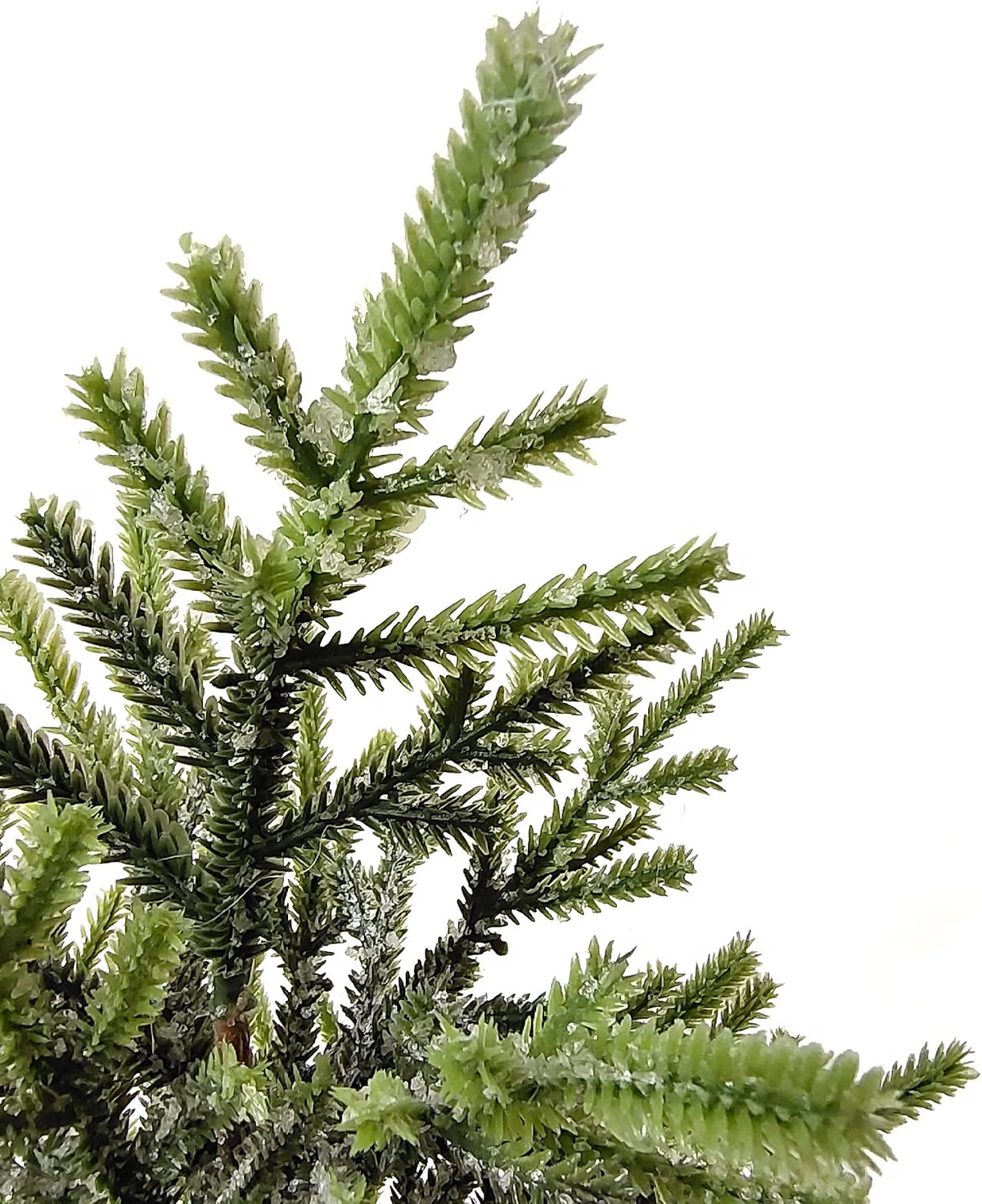 Frosted Mini Pine Tree with Jute Base, 13 Inch Christmas Tabletop Decor