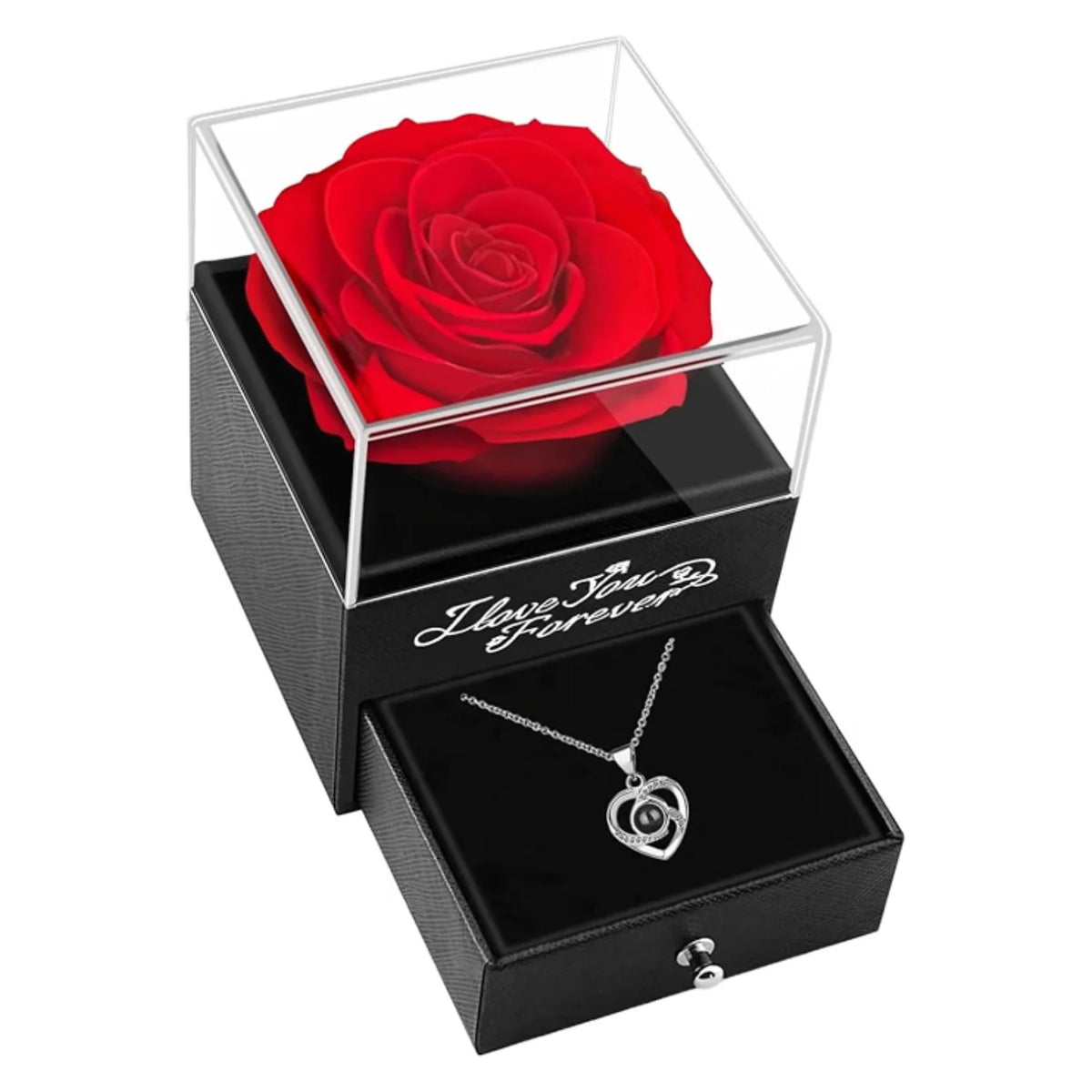 Preserved Real Rose Gift Box with I Love You in 100 Languages Necklace
